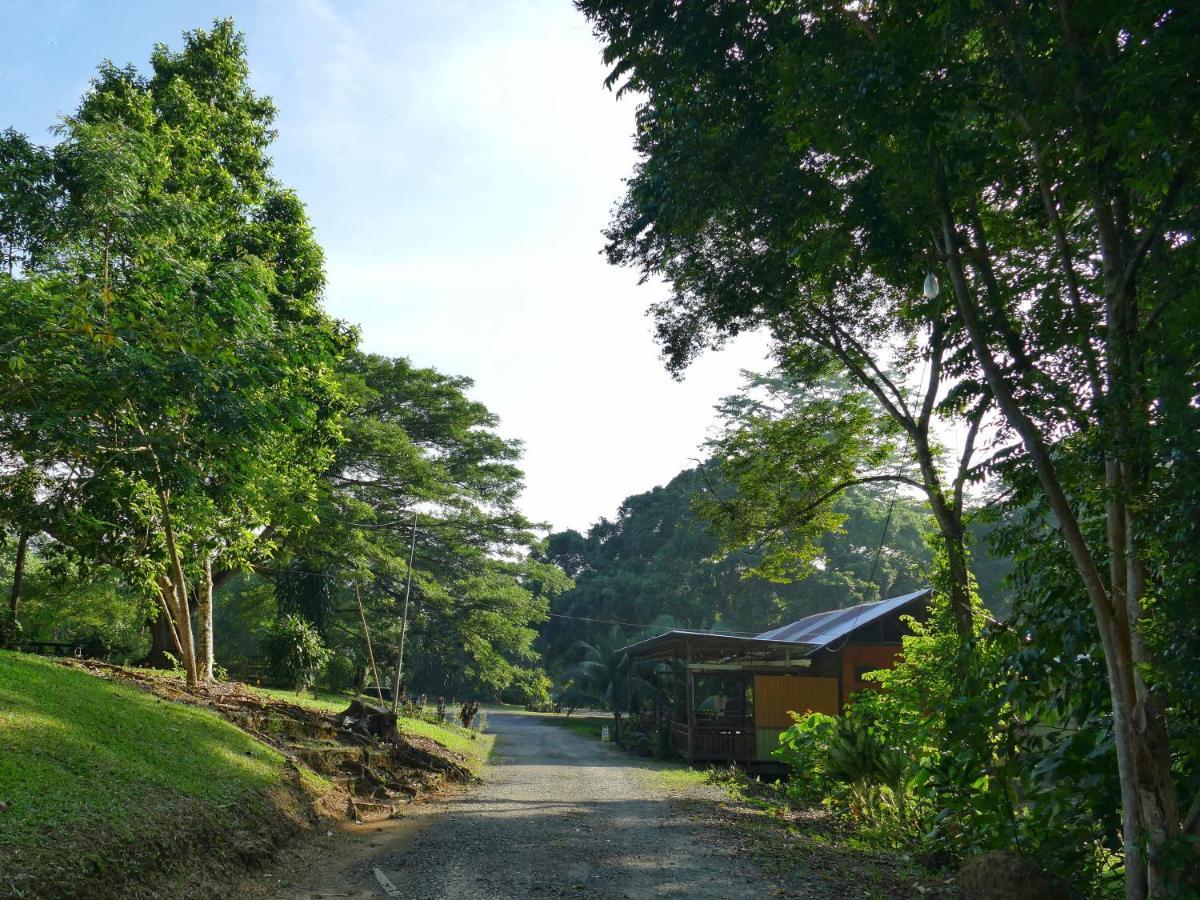 Sepilok B&B Exterior photo